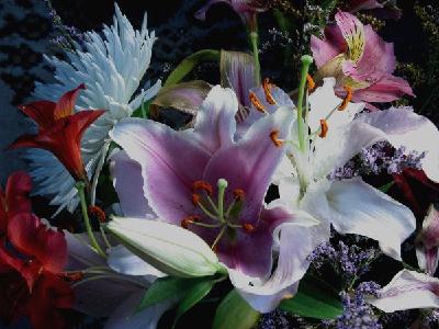 “At Swim” by Arthur Mortensen