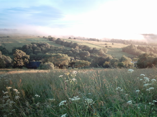 Epiphany by Leo Yankevich