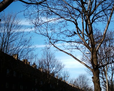 Silesian Sky by Leo Yankevich