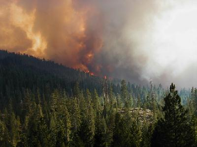 El Dorado Forest on Fire 