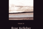 Rose Kelleher’s “Bundle o’Tinder.” by Leo Yankevich